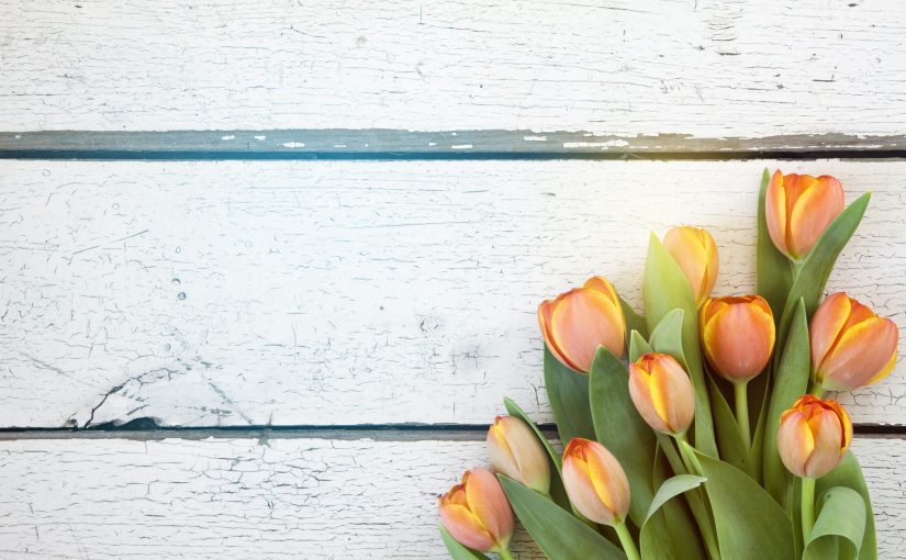 Beautiful bouquet of orange tulips on old wood background