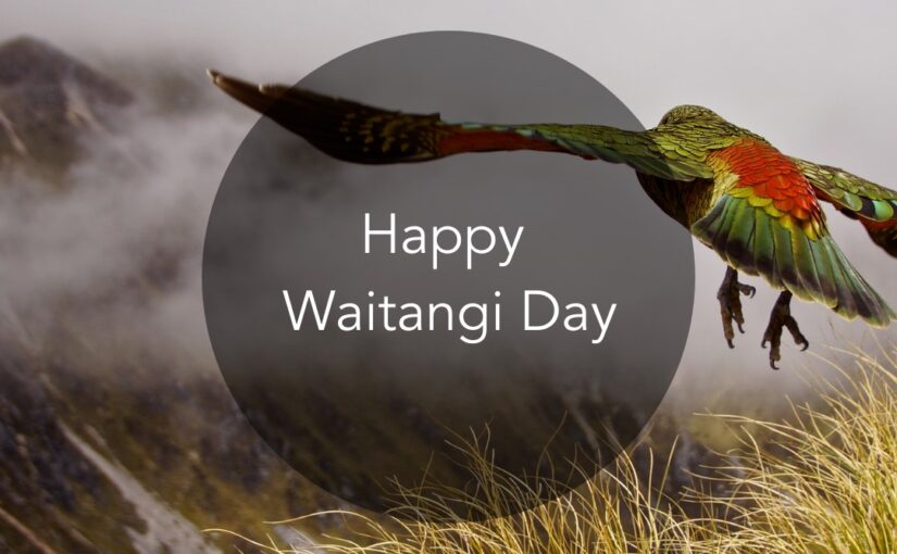 Waitangi Day – Bird in flight